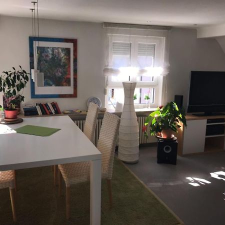 Casa Christina Apartment Orschweier ภายนอก รูปภาพ