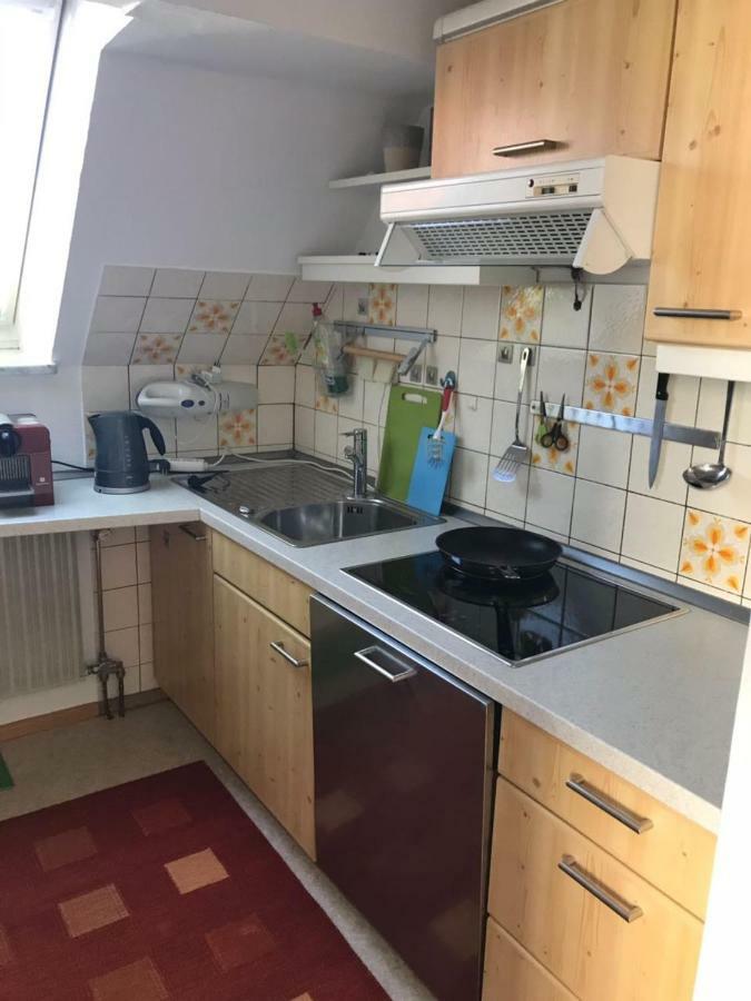 Casa Christina Apartment Orschweier ภายนอก รูปภาพ