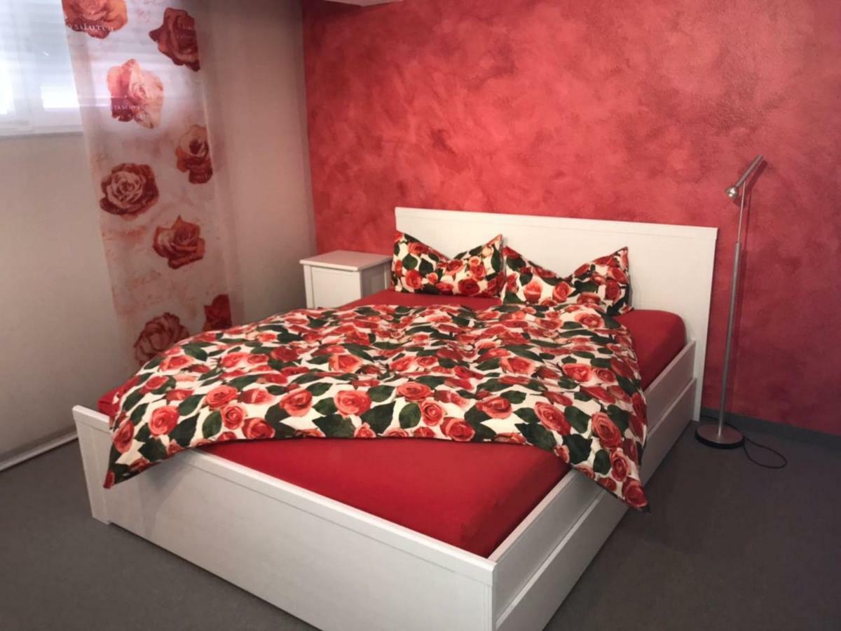 Casa Christina Apartment Orschweier ภายนอก รูปภาพ