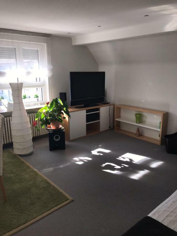 Casa Christina Apartment Orschweier ภายนอก รูปภาพ