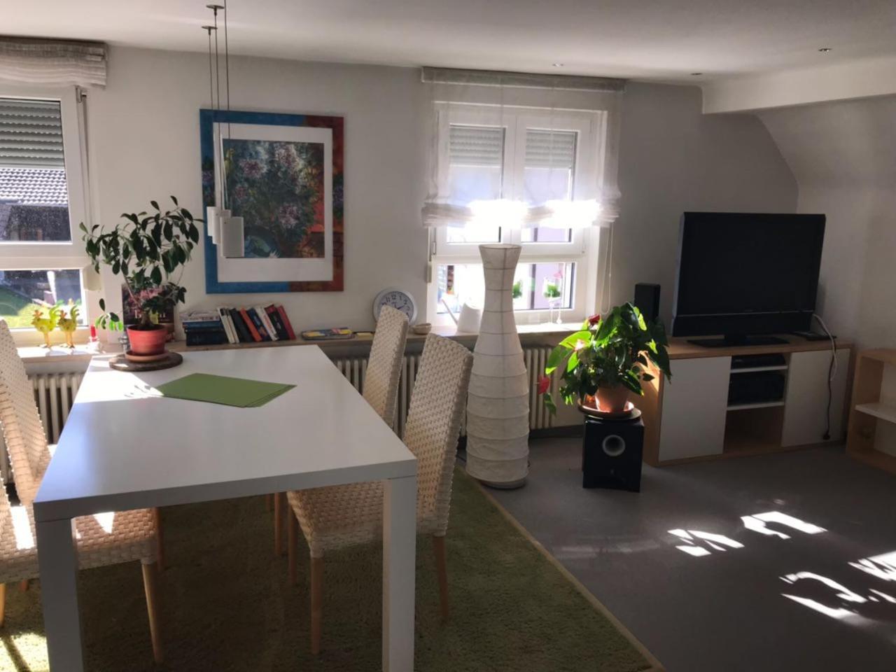 Casa Christina Apartment Orschweier ภายนอก รูปภาพ