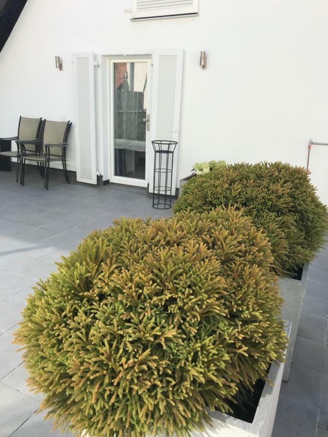 Casa Christina Apartment Orschweier ภายนอก รูปภาพ